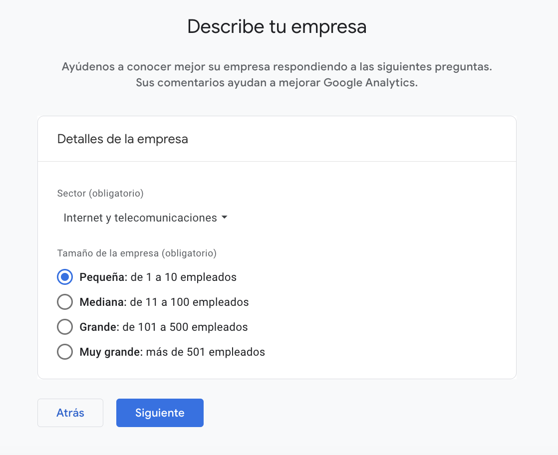 Tamaño de la empresa GA4