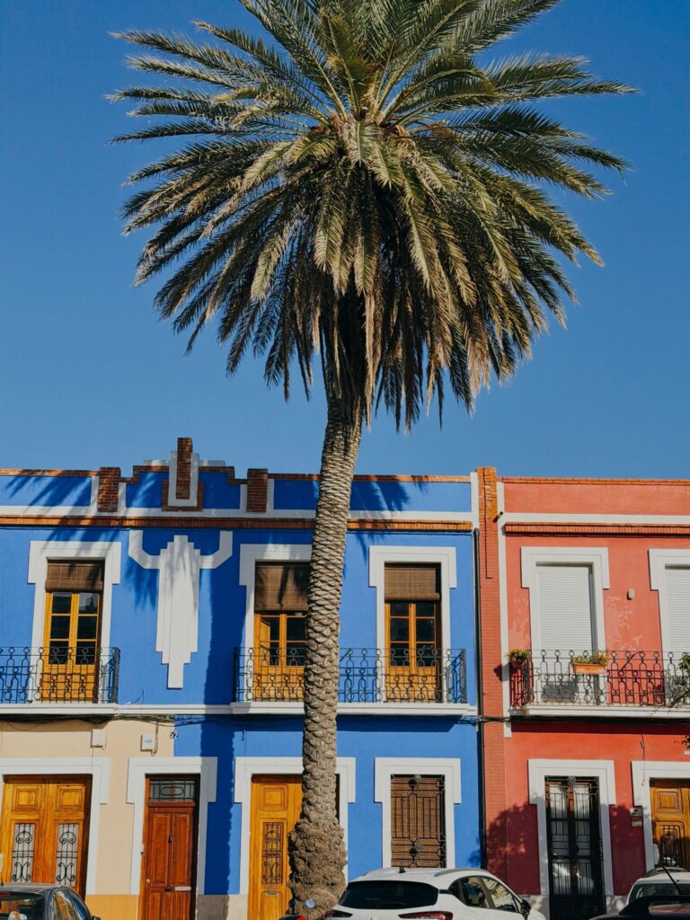 Edificios de colores y una palmera en Valencia